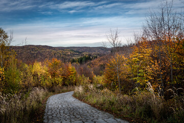 Landscape with a path in autumnal forest in Sowie mountains, Poland. 