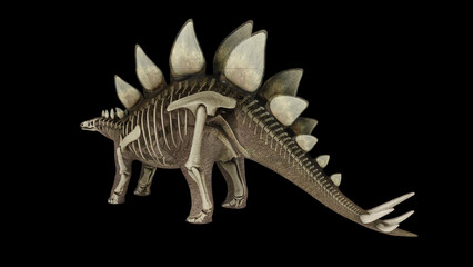 3D illustration of Stegosaurus, with skeletal system overlay.