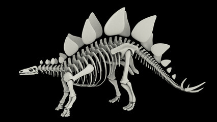 Skeletal system of Stegosaurus, side view.