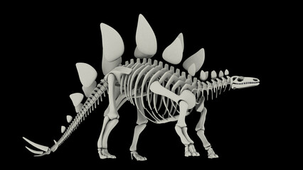 Fototapeta na wymiar Skeletal system of Stegosaurus, side view.