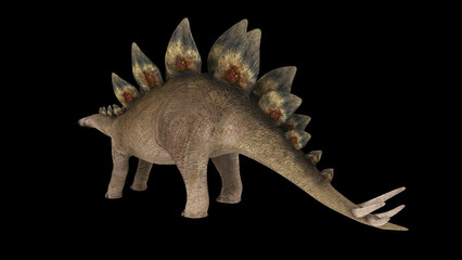 Stegosaurus dinosaur.