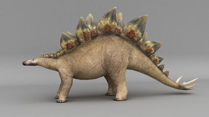 Stegosaurus dinosaur, colored background.