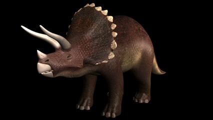 Fototapeta premium Triceratops dinosaur.