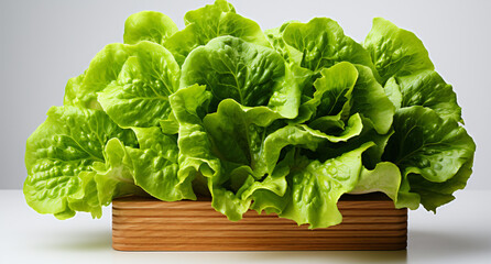fresh lettuce on a wooden board