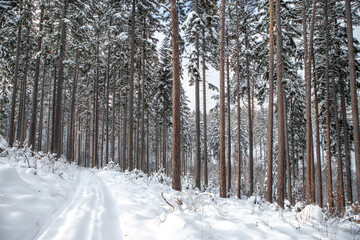 Zimowy Krajobraz Sudety Środkowe