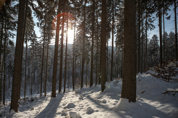 Zimowy krajobraz Sudety Środkowe
