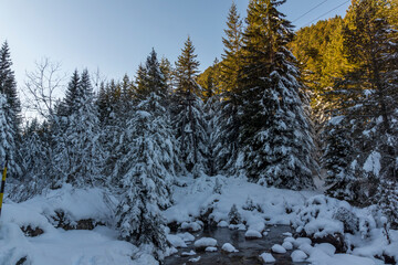 Winter view of Rila Mountain near Malyovitsa peak, Bulgaria