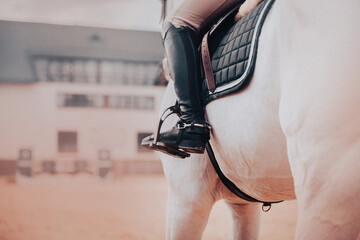 A rider in leather boots sits on a white horse in the saddle. Sports equipment and stirrups. Equestrian sports and horse riding.