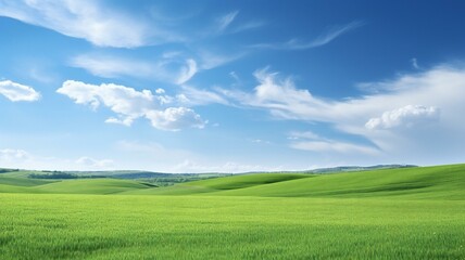 Fototapeta premium the green fields of the countryside under a blue sky