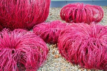 Artwork remaining the sea weeds