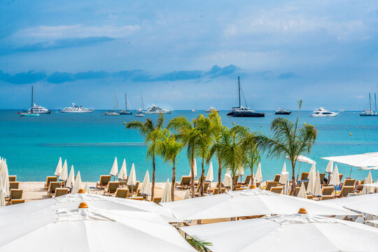 Fantastic view on bay of Cannes from Croisette. Palms on private beach and  ancored yachts in water