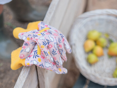 High angle of Pair of gloves on wooden fence in garden against blurred basket with fruits