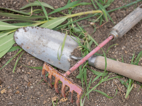 High angle of Rake and trowel in garden