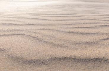 Rippled beach sand