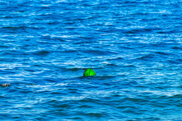 Blue water waves ocean with buoy buoys ropes nets Mexico.