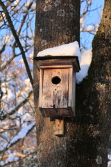 Vogelhaus mit Schnee im Kurpark von Bad Gögging in Bayern
