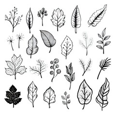 Hand Drawn Natural Eco Bio Ecology Sketch Collection, Sketched Leaf Set, Natural Plants Organic Elements