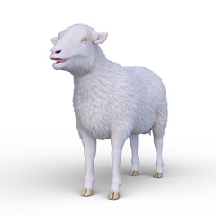 ヒツジ　3DCG レンダリング