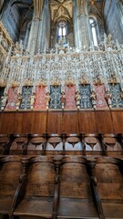 ALBI (Tarn)