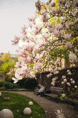 Naklejka premium Branches of blooming pink magnolia in spring