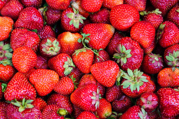 Fresh red organic strawberry with green leaves background. Fresh organic berries. Fruit background