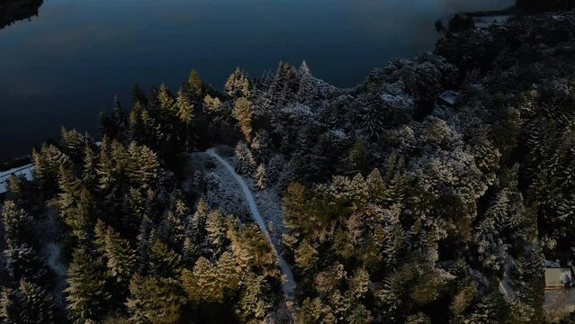 Invierno en los bosques - Cordillera y Lagos - Patagonia