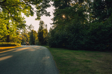 Obraz premium four people and a dog walking on footpath during an autumn sunset, sun rays shining through tree