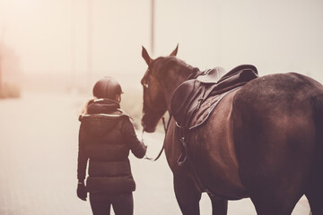 Young woman rider and her horse in autumn colors. Horse riding training. Preparation for horse riding.