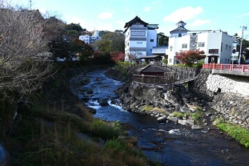 Obraz premium Japan Travel. 