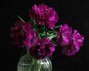 bouquet of dark red lilac tulips in glass vase on dark background. flower bouquet in vase on table. Gift interior decoration. florist, decorator. Flower shop.