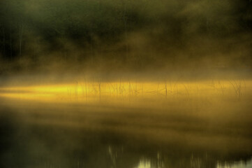 mist over the lake