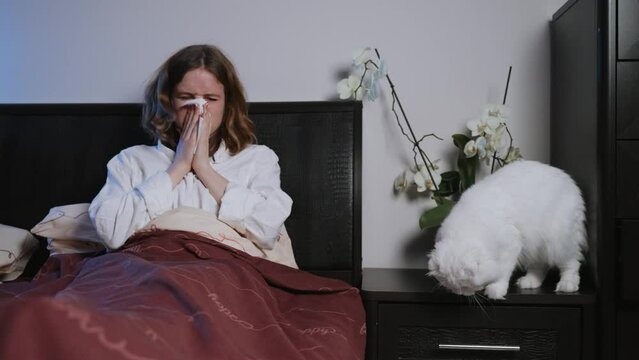 woman in white blouse sitting in bed, blowing her nose into tissue, with closed-eyed unwell or suffering from allergies. Beside her, white cat is positioned on nightstand, next to an orchid plant.