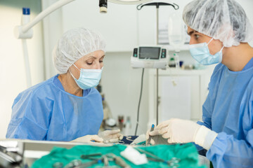 Mature woman, professional veterinarian, engaged in surgical operation at veterinary clinic with...