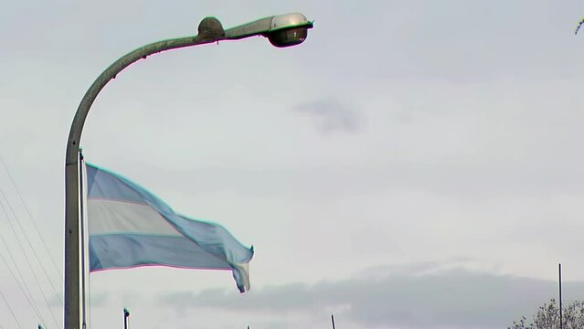 An Ovenbird Nest on a Lamppost with the Argentine Flag, Buenos Aires, Argentina.