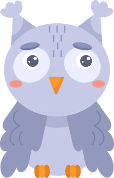 Owl Baby Bird