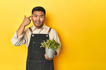 Asian gardener man holding a plant, yellow studio backdrop showing a disappointment gesture with...