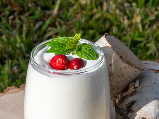 Close-up photograph of a White Dreamy creamy Blended Alcohol Drink with Cranberries and Mint leaves as a garnish outdoors on a wooden table in the natural sunlight.