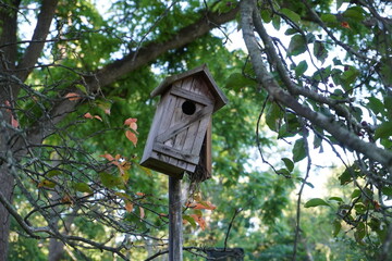 bird house