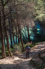 Obraz premium Serene Exploration: Women Connect with Nature in Hiking.