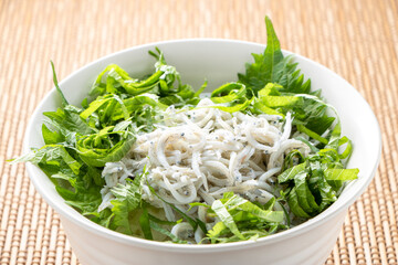 釜揚げしらす丼。
