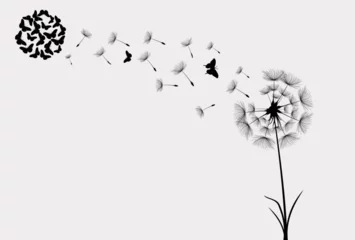 Fotobehang Dandelion with flying butterflies and seeds, vector illustration. Vector isolated decoration element from scattered silhouettes. © halimqdn