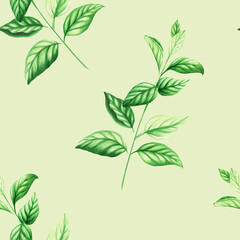 Watercolor seamless pattern of fresh peppermint leaves isolated on background. Detail of beauty products and botany set, cosmetology and medicine. For designers, spa decoration, p