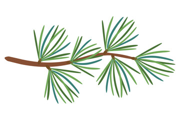 Christmas Larch branch, evergreen tree, fir, vector icon, winter plants, New Year wood, holiday decoration. Hand drawn illustration.