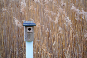 wooden bird house