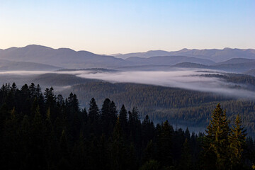 Smoky fog over the forest in the mountains at sunrise. Soft colors, beautiful blue sky