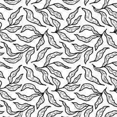 Hand drawn outline branches with long curved leaves with thin veins.