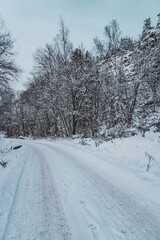 Obraz premium Empty road along trees during winter