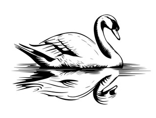 Graceful Swan Gliding – Elegant Black Vector Silhouette for Calm Nature Posters, Tattoo Art or Decorative Use ¥