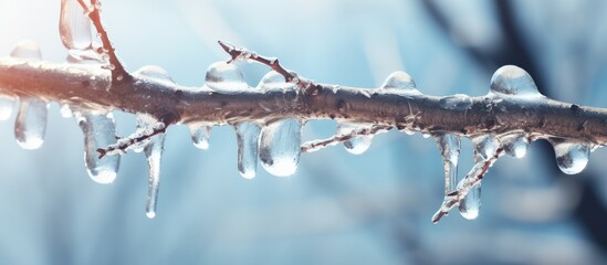 March tree branch melts as spring icicle background. - Powered by Adobe