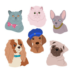 Set of various portraits cats and dogs. Cute pets of different breeds. Hand drawn vector illustration isolated on white background, modern flat cartoon style.